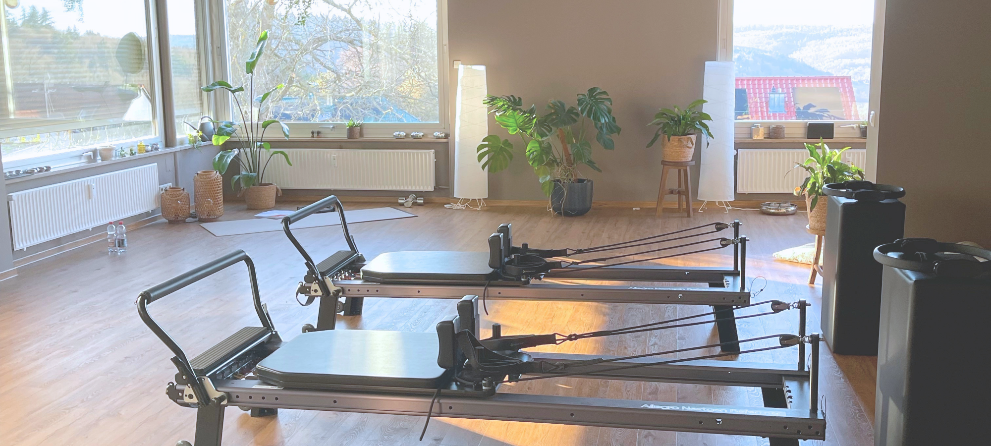 Reformer (2000 x 900 px)